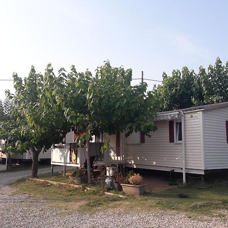 Camping Vila Village Sant Feliu de Buixalleu المظهر الخارجي الصورة