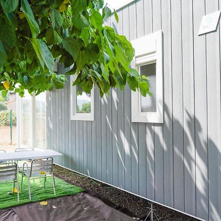 Camping Vila Village Sant Feliu de Buixalleu المظهر الخارجي الصورة