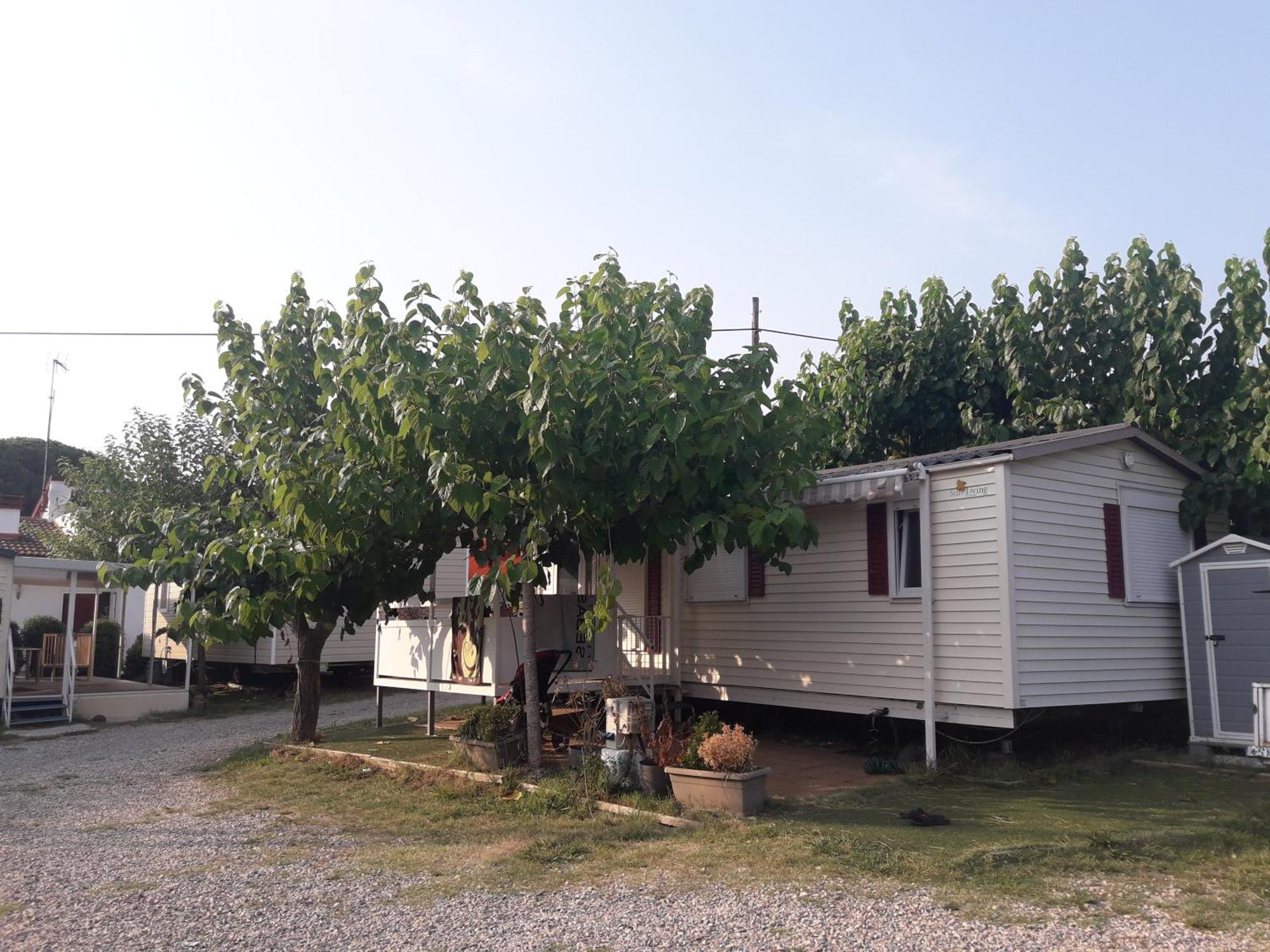 Camping Vila Village Sant Feliu de Buixalleu المظهر الخارجي الصورة